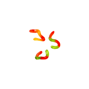 Fruits worm gummy